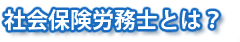 社会保険労務士とは？